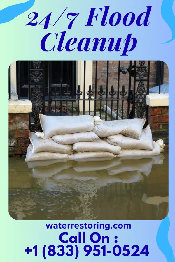 24/7 Flood Cleanup in Dulles Town Center, VA