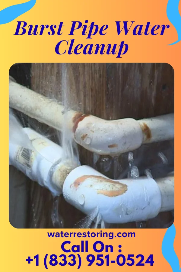 Burst Pipe Water Cleanup in Dulles Town Center, VA