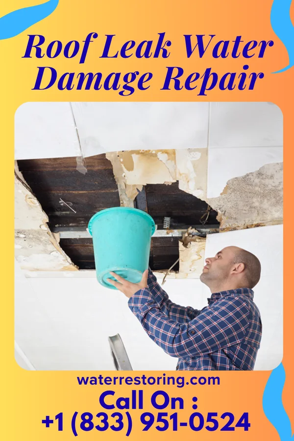 Roof Leak Water Damage Repair in Dulles Town Center, VA