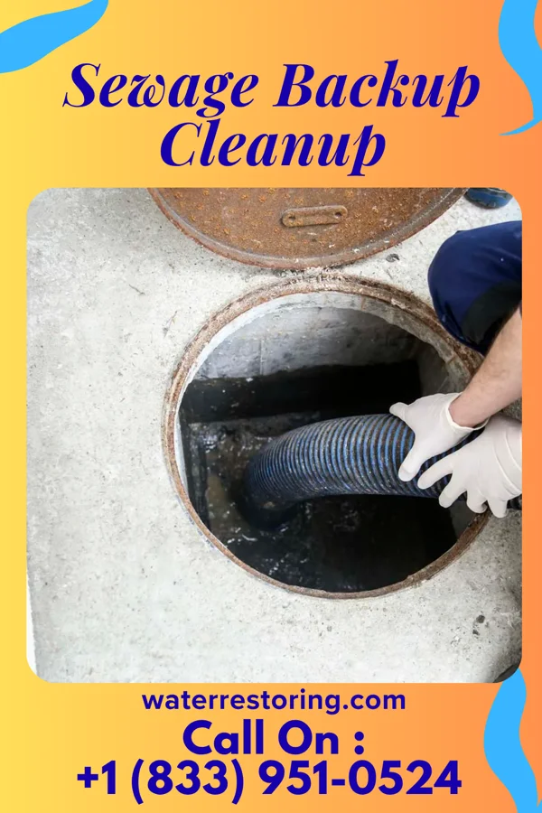 Sewage Backup Cleanup in Dulles Town Center, VA