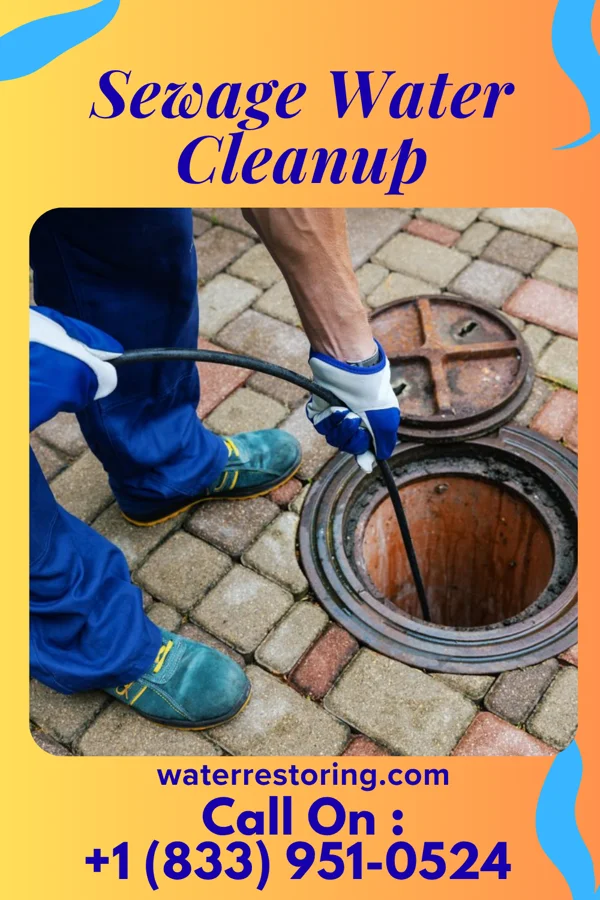Sewage Water Cleanup in Dulles Town Center, VA